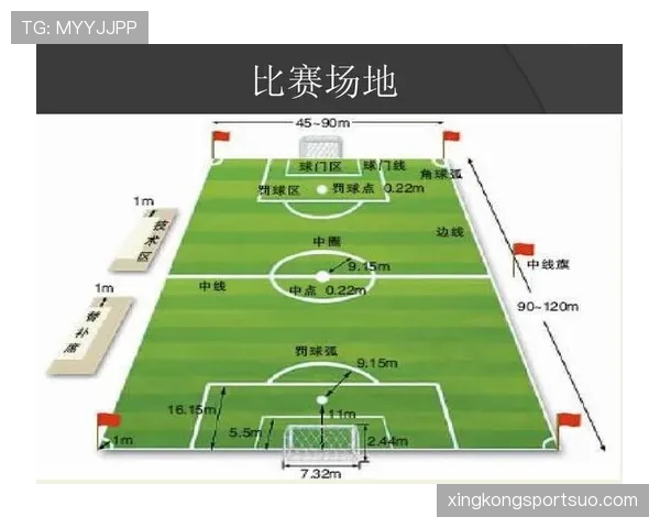 室内足球规则解析：比赛场地与裁判判罚的关键区别